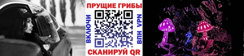 купить Михайловск Псилоцибиновые грибы Psilocybine cubensis