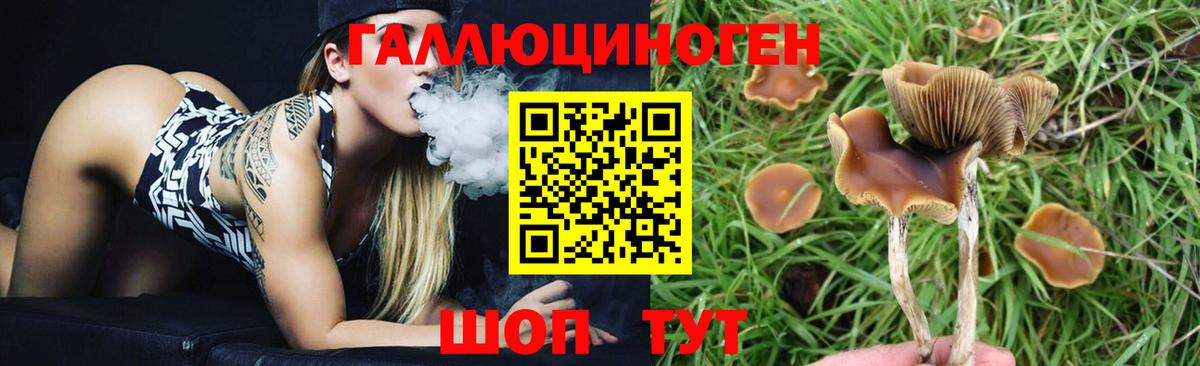 Псилоцибиновые грибы мухоморы Михайловск