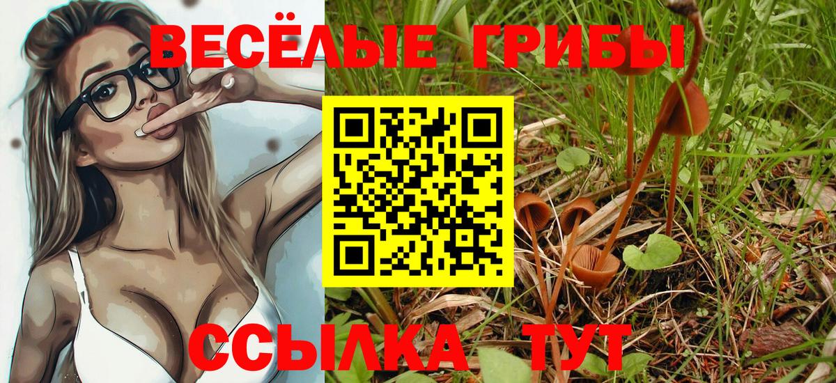 Псилоцибиновые грибы Psilocybine cubensis  Вход с VPN  Псилоцибиновые грибы Psilocybine cubensis  Михайловск 